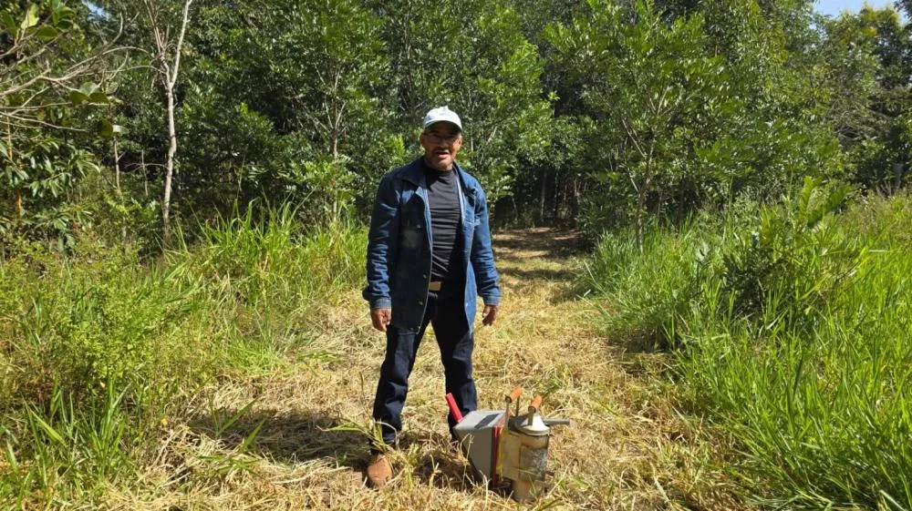 Apicultor de Chapada dos Guimarães colhe 100 kg de mel e planeja safra