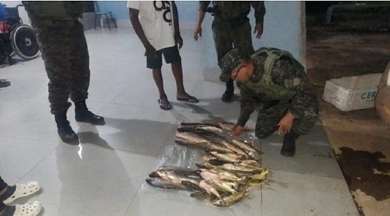 Apreensão de 23 kg de peixe ilegal mobiliza PM em Poxoréu