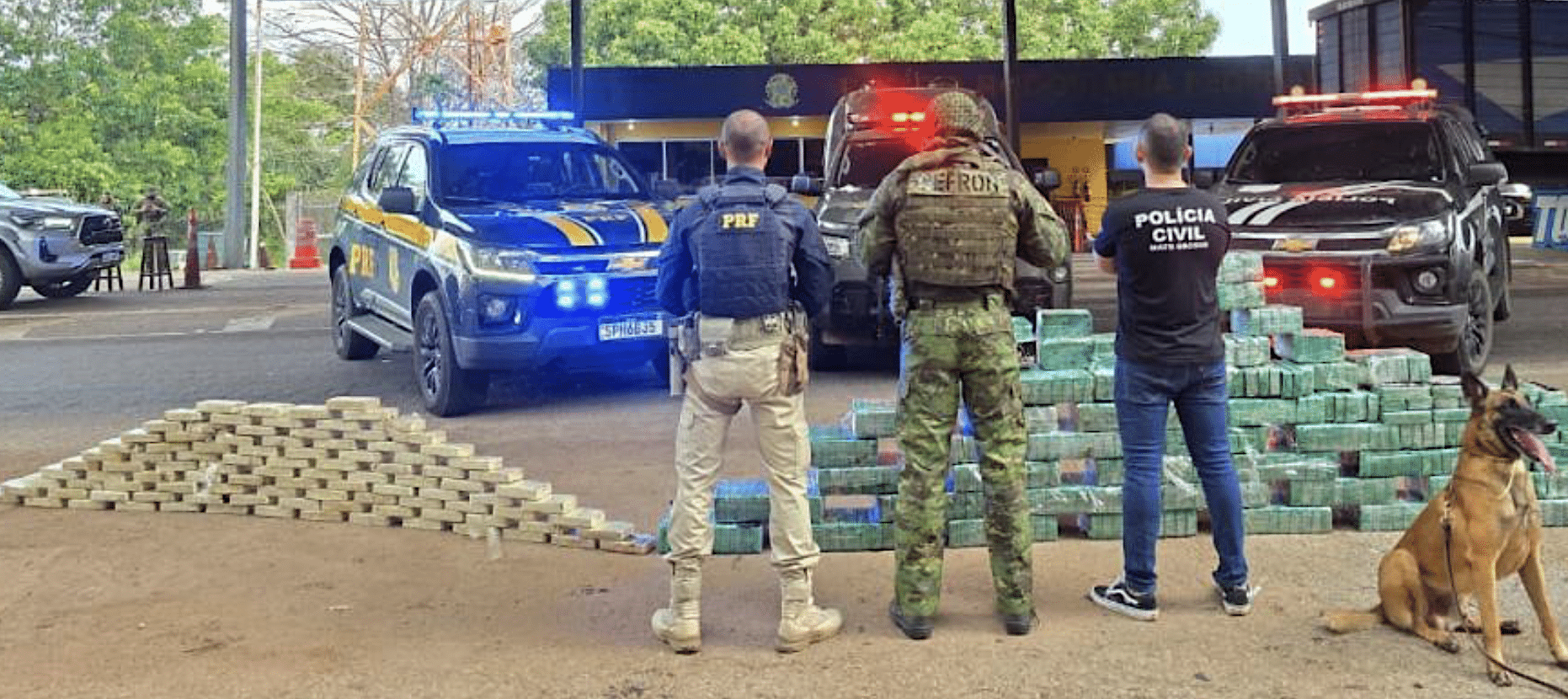 Apreensão de drogas causa prejuízo de R$ 9,9 mi em Jangada