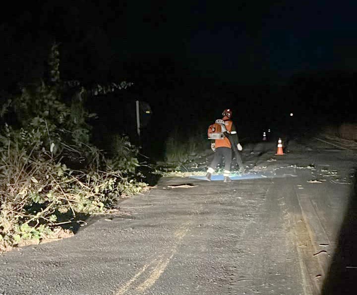 Árvore bloqueia parcialmente a MT-208 em direção a Nova Monte Verde
