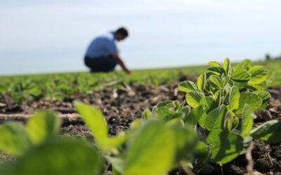 Assentamento Serra Verde recebe Dia de Campo em Barra do Garças