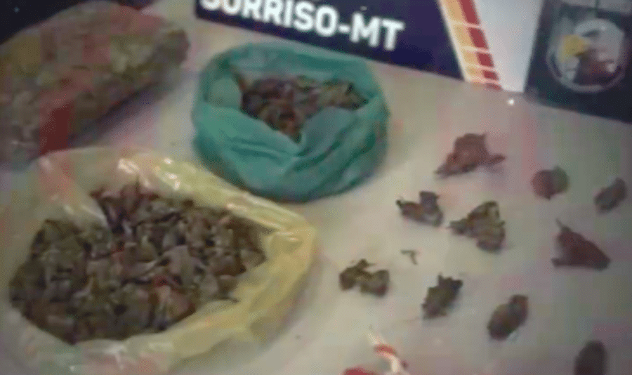 Boca de fumo é desmantelada com skank em Sorriso