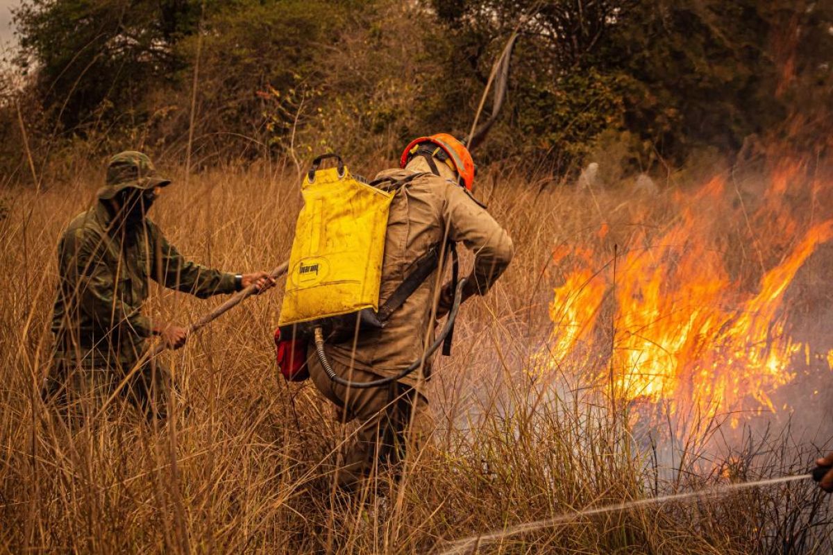 Bombeiros combatem 11 incêndios florestais em MT