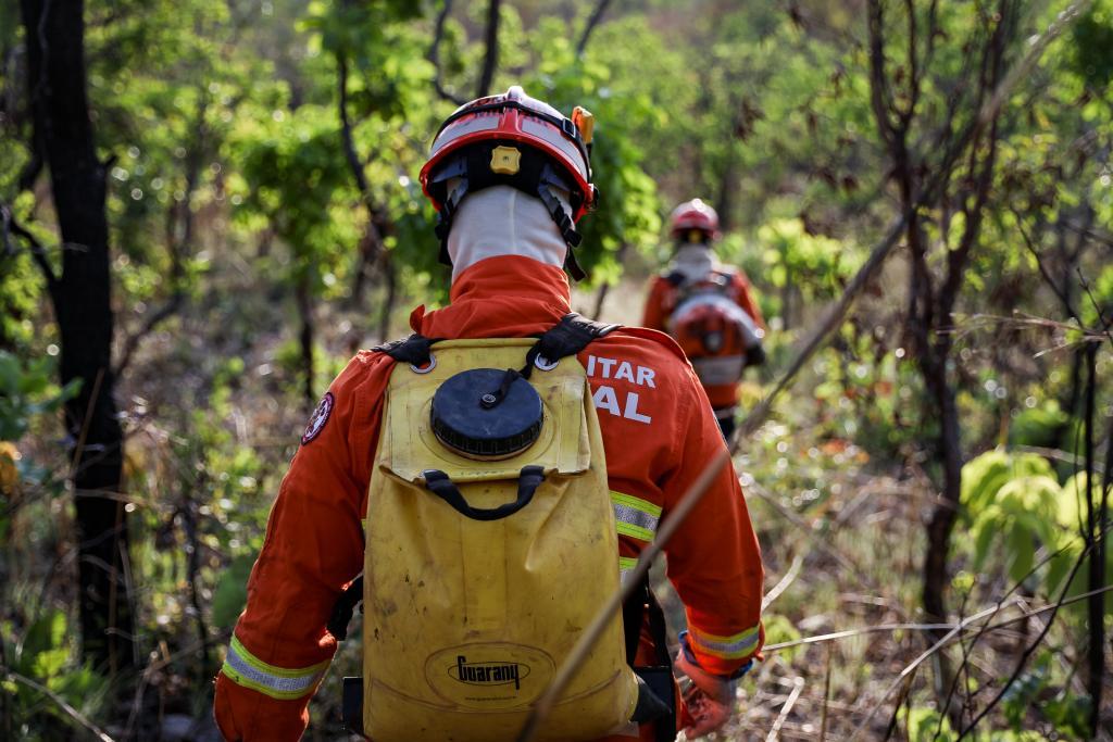 Bombeiros combatem incêndio florestal em Rosário Oeste MT