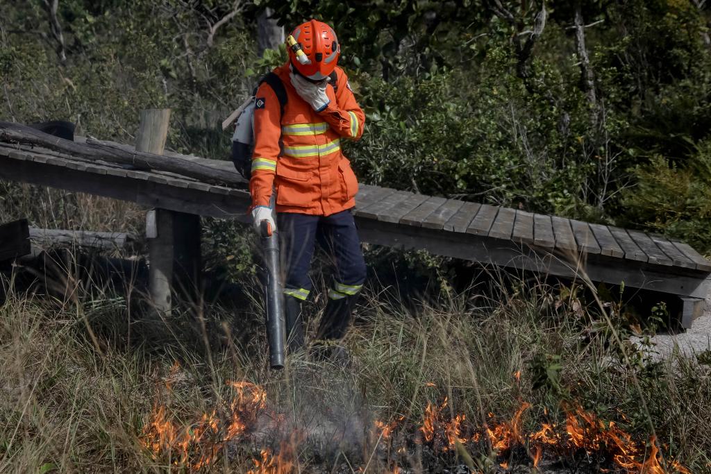 Bombeiros combatem seis incêndios florestais em municípios de MT