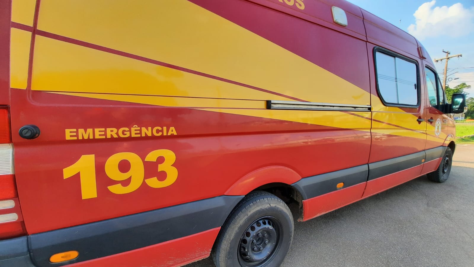 Bombeiros resgatam bicho-preguiça em quintal