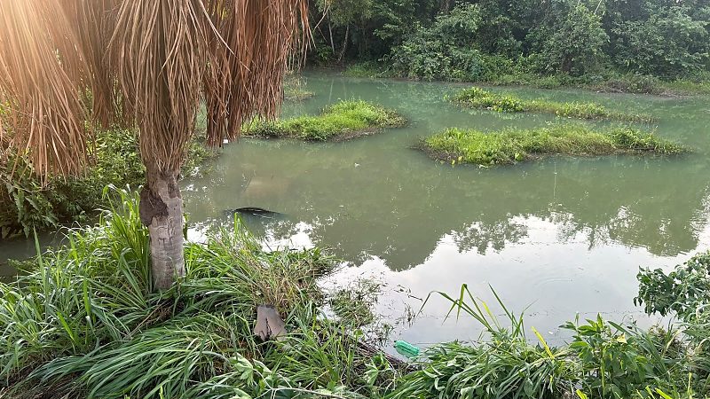 Carro cai em lago após batida e fere duas crianças em MT