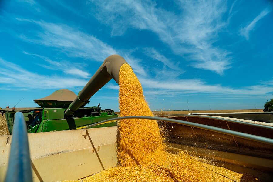 Colheita de milho atinge 90,66% em Mato Grosso e aponta recorde