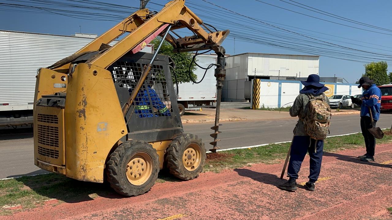 Cuiabá ganha centenas de novas árvores em avenida de MT