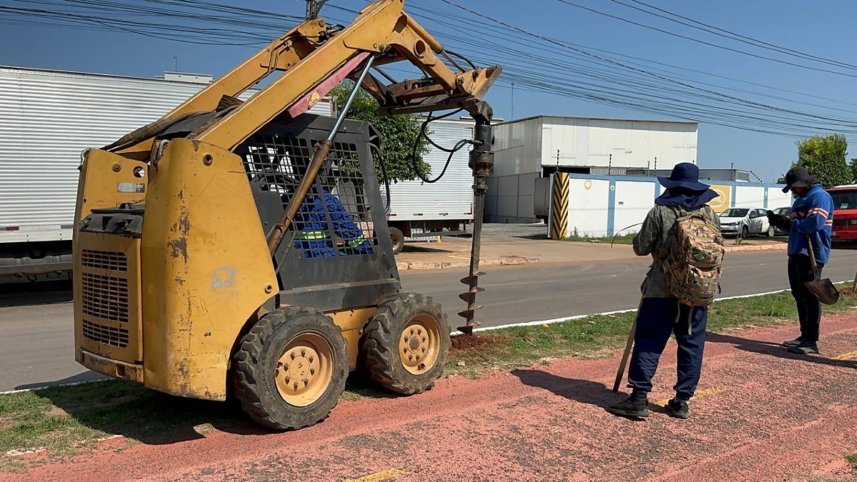 Cuiabá ganha centenas de novas árvores em avenida de MT