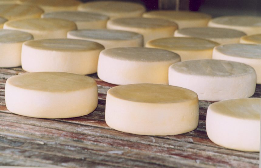 Cuiabá sedia 3º Festival do Queijo valorizando a agricultura de MT
