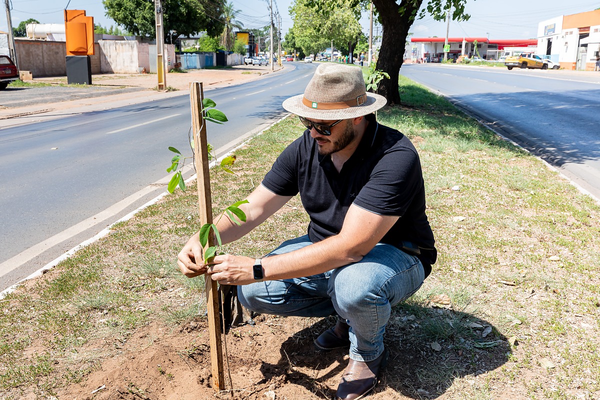Cuiabá supera marca de mil árvores plantadas em outubro em MT