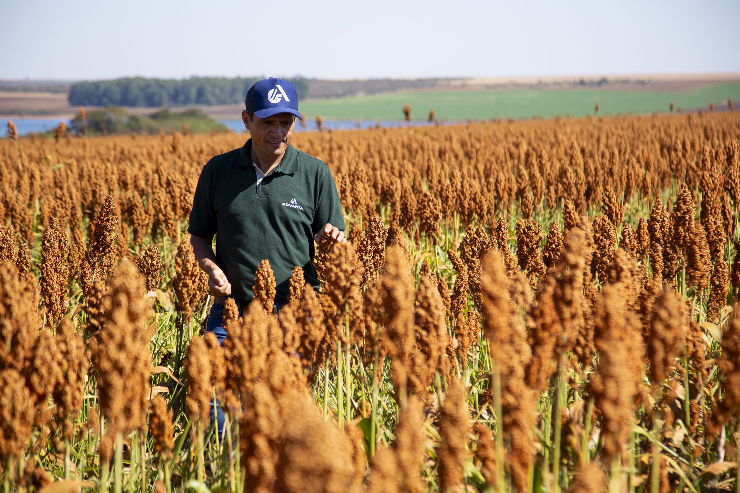 Desafios do agro em Mato Grosso revelados em estudo