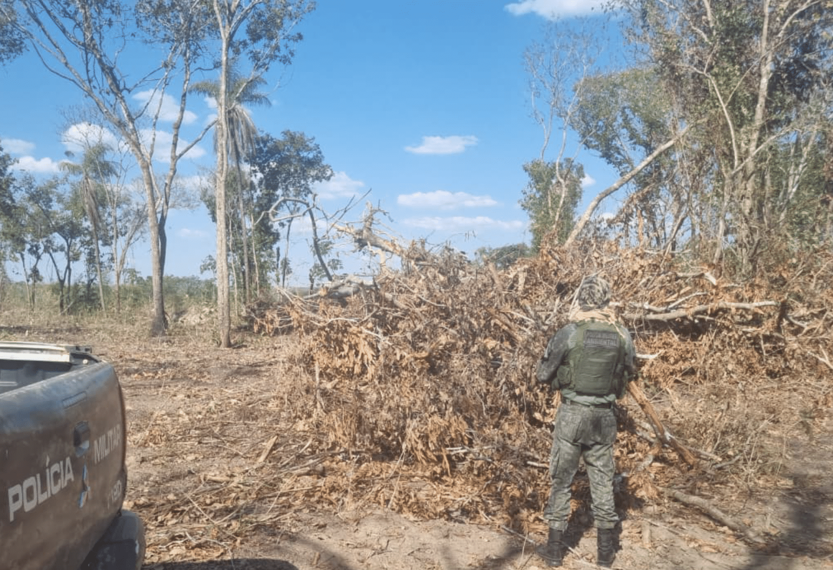 Desmatamento ilegal de 7 hectares é embargado no estado