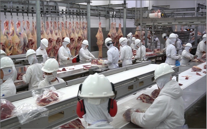 EUA lideram carne bovina de Mato Grosso com queda da China