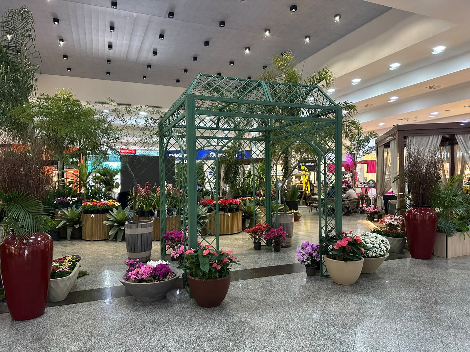 Expo Jardim traz tendências de paisagismo a Rondonópolis