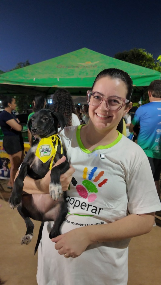 Feira de adoção garante novos lares para cães em Querência