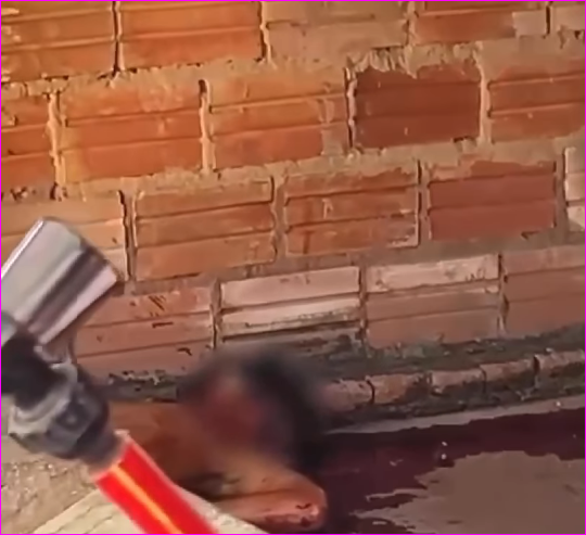 Feminicídio em Caiapônia: suspeito é preso