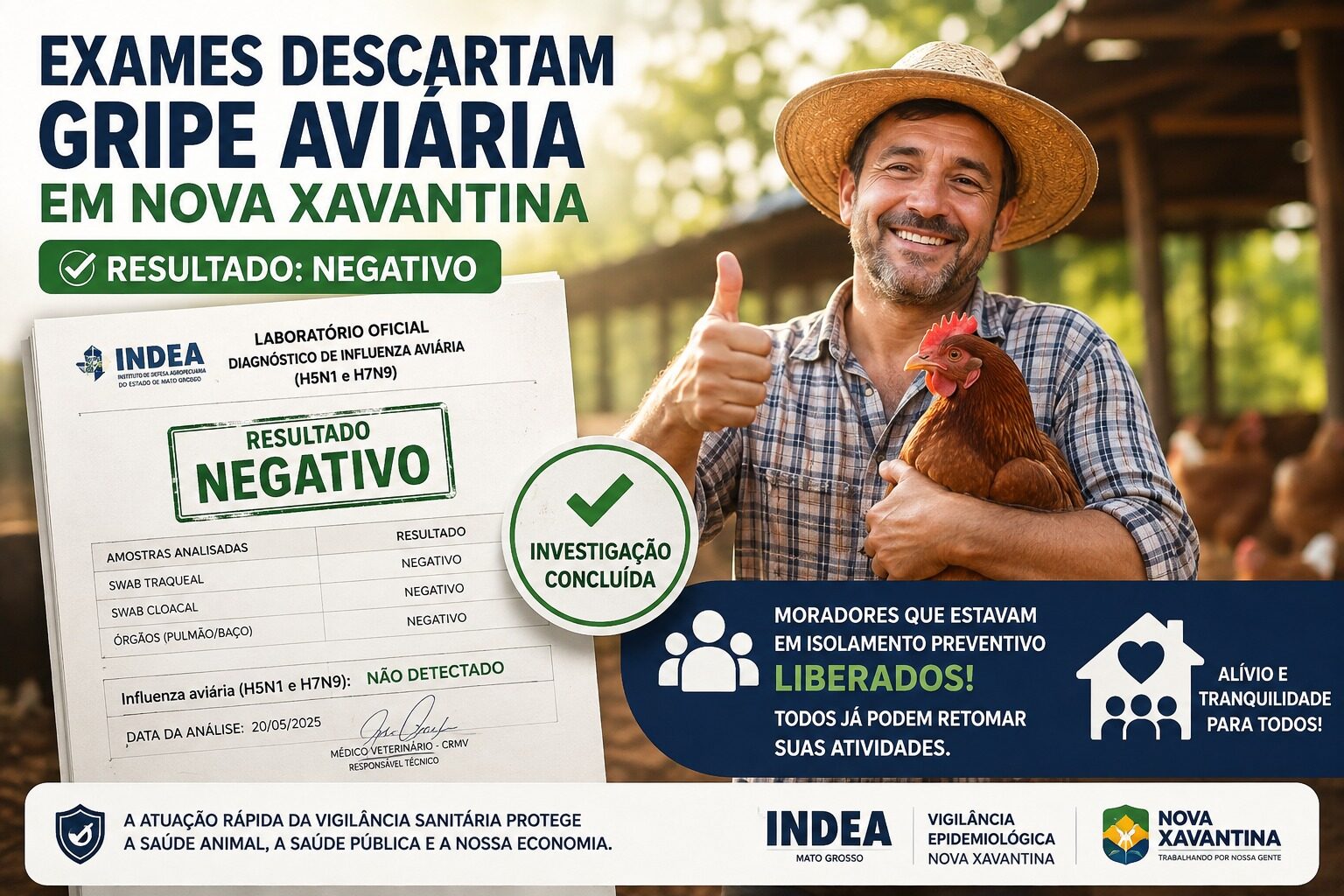 Gripe aviária é descartada em Nova Xavantina após exames laboratoriais