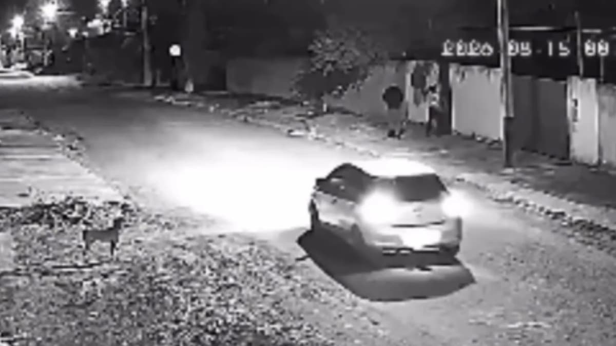 Gritos de moradora frustram invasão domiciliar em MT