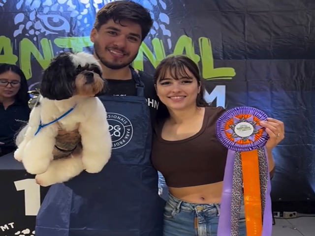 Groomer de Sorriso brilha em campeonato estadual em Cuiabá