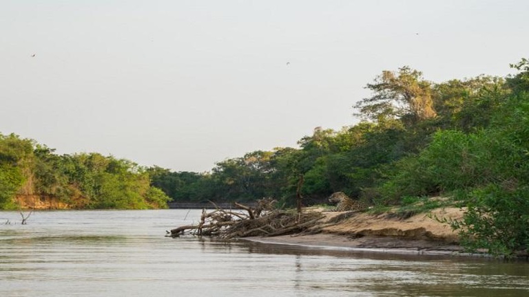 ICMBio esclarece ações preventivas no Pantanal de Mato Grosso