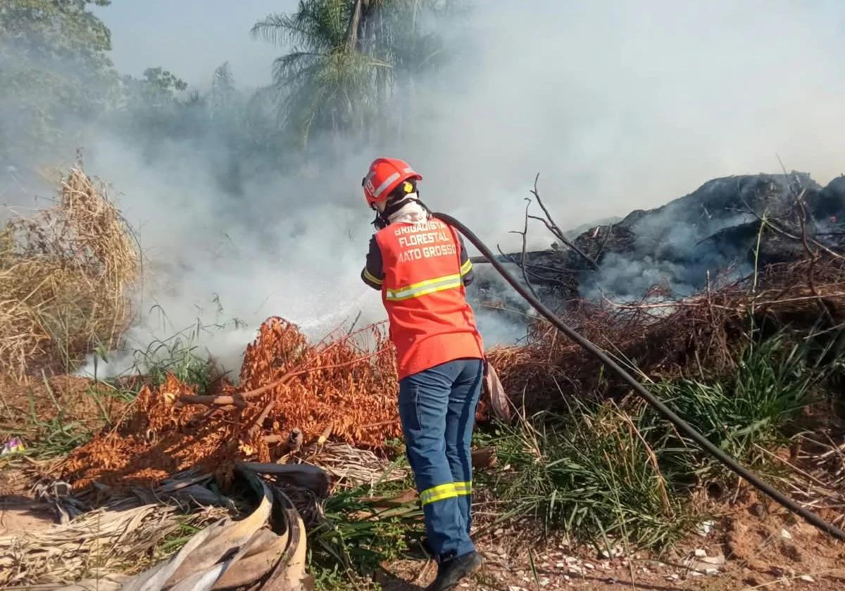 Incêndios florestais mobilizam bombeiros em várias regiões de MT