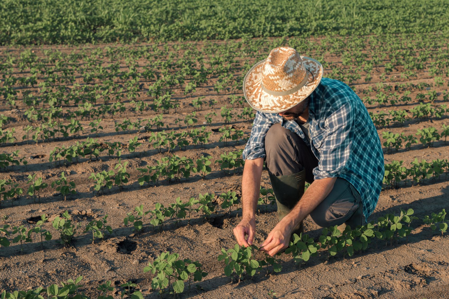 Isenção de ICMS para agricultura familiar avança em Mato Grosso