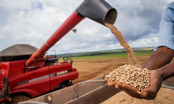 Mato Grosso lidera exportação de grãos no Brasil
