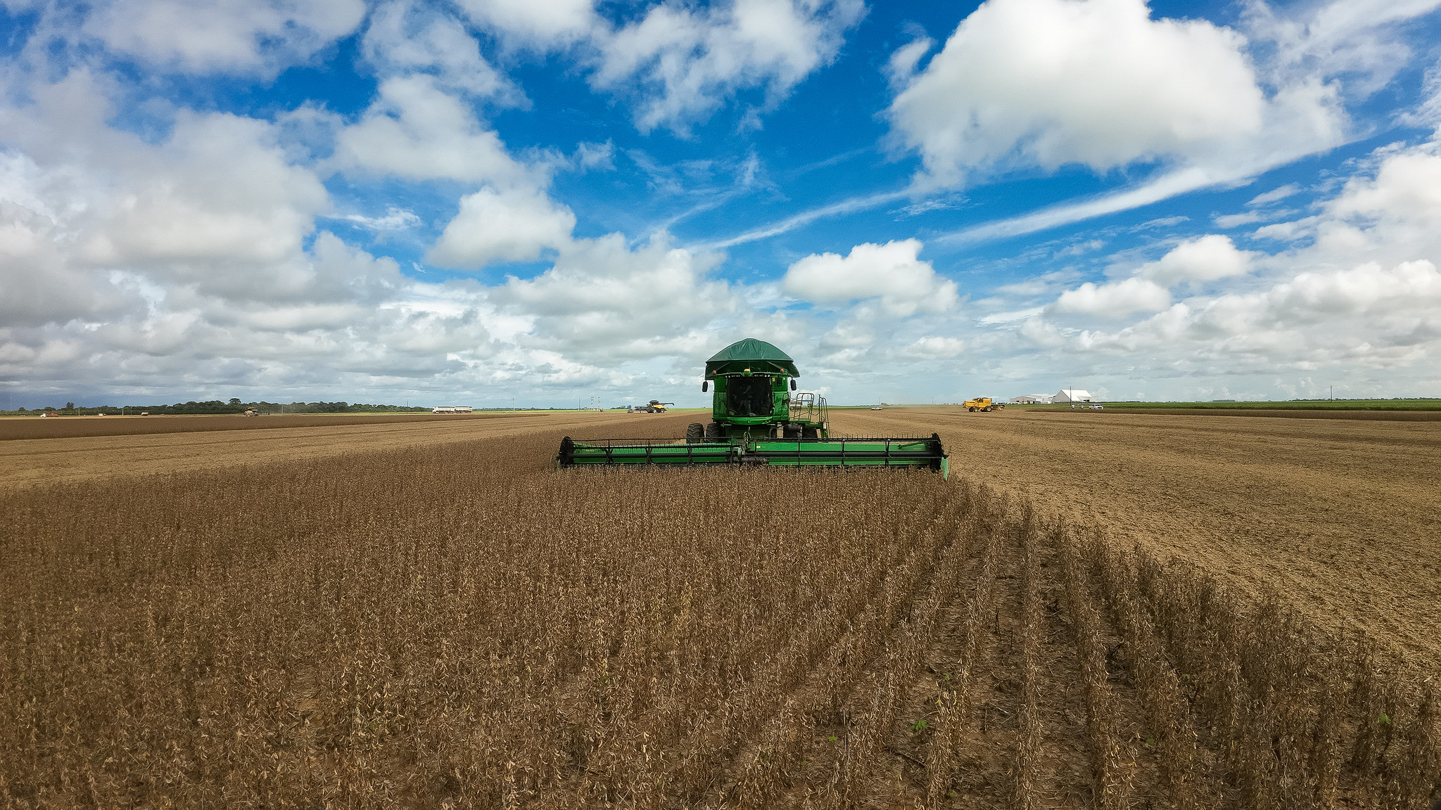 Mato Grosso lidera superávit do país com agro forte
