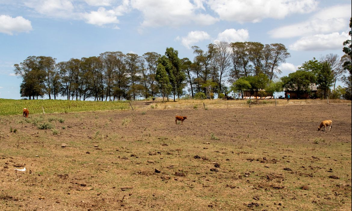Meteorologista alerta agropecuaristas de MT sobre Super El Niño