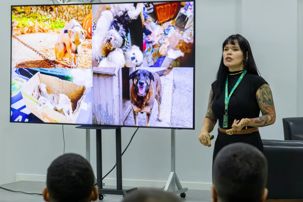 Morgana assume Cultura em MT e planeja arte em praças e escolas