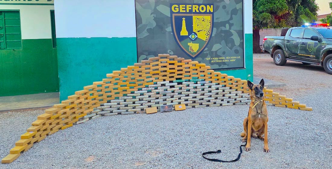 Motorista é preso com milhões em cocaína em MT