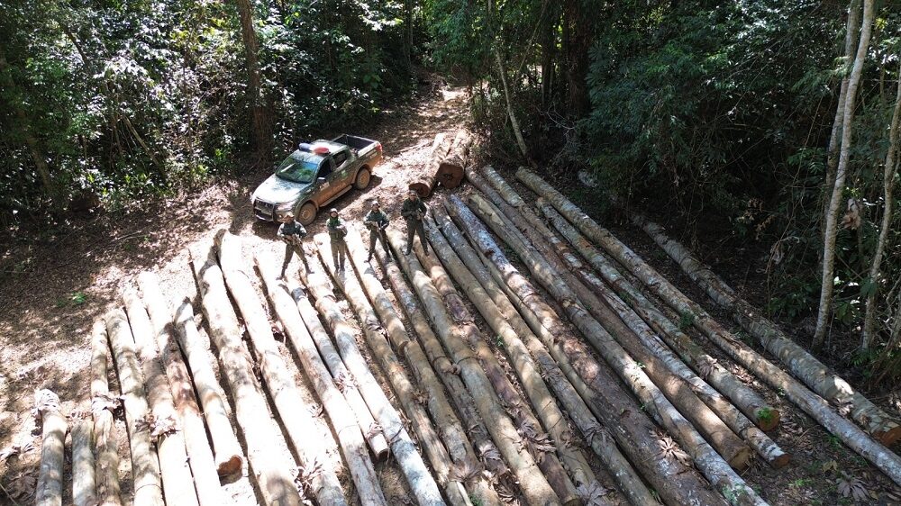 Multa de R$ 7,2 milhões por desmatamento em Mato Grosso