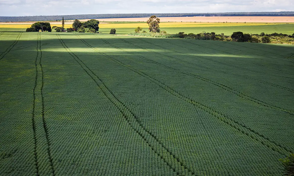 Nova versão web facilita imposto rural em Mato Grosso