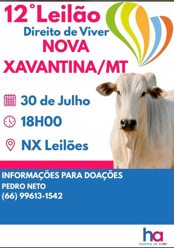 Nova Xavantina sedia 12º Leilão Direito de Viver