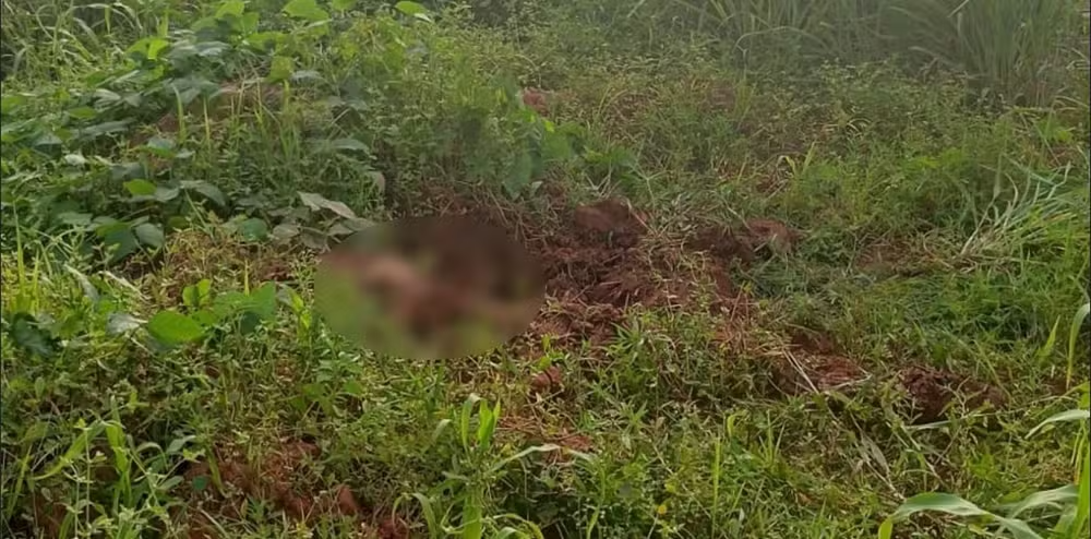 Ossada humana é encontrada em creche de MT