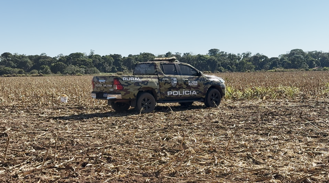 Ossada humana é localizada em milharal em Sinop