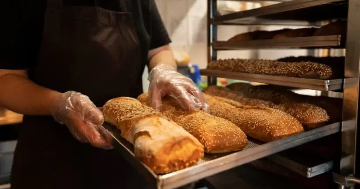 Panificação em MT registra alta com 1,5 mil novas empresas abertas