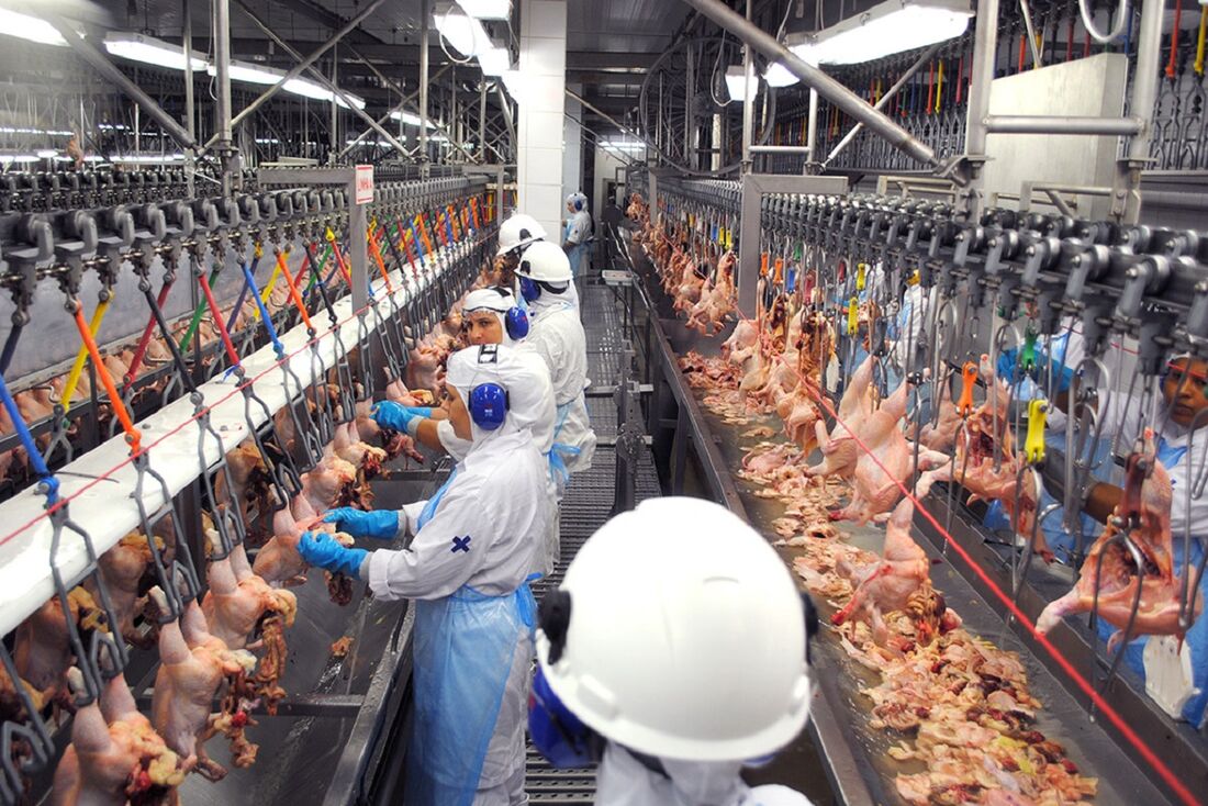 Preço dos alimentos dispara nas fábricas e preocupa o Brasil