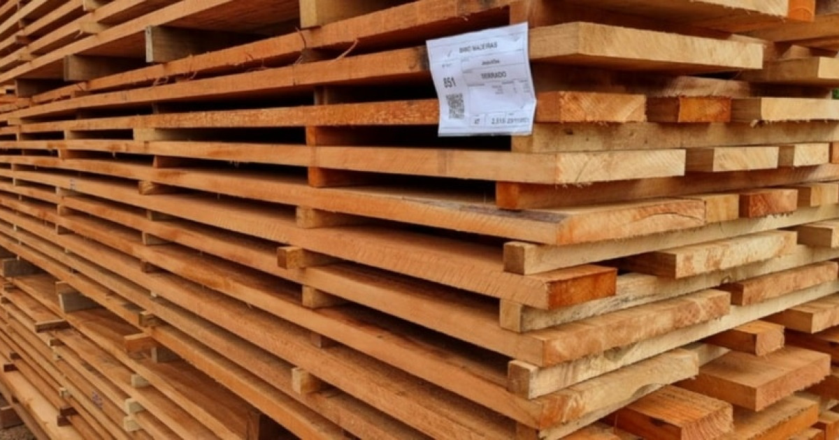 Prejuízos no setor florestal de MT chegam a quase R$ 60 milhões