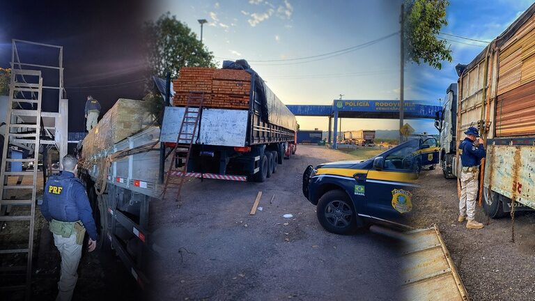 PRF apreende madeira ilegal em Rondonópolis
