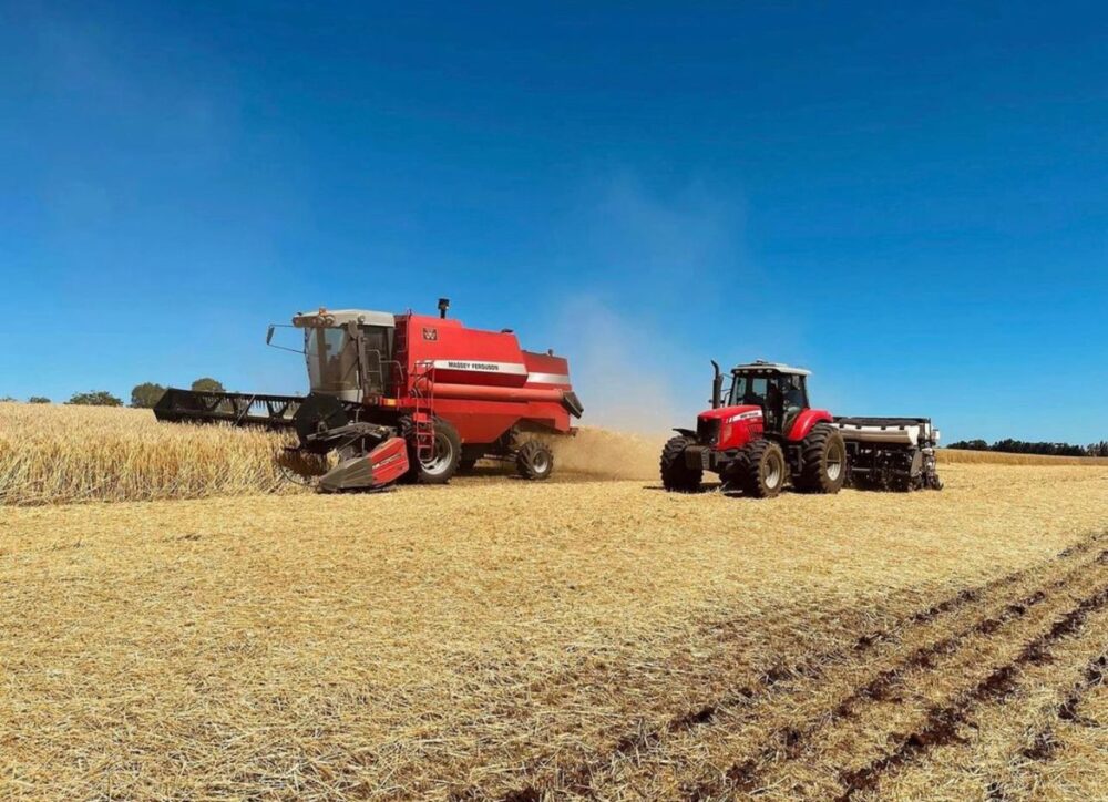 Produtores rurais de MT evitam novo financiamento com prorrogação