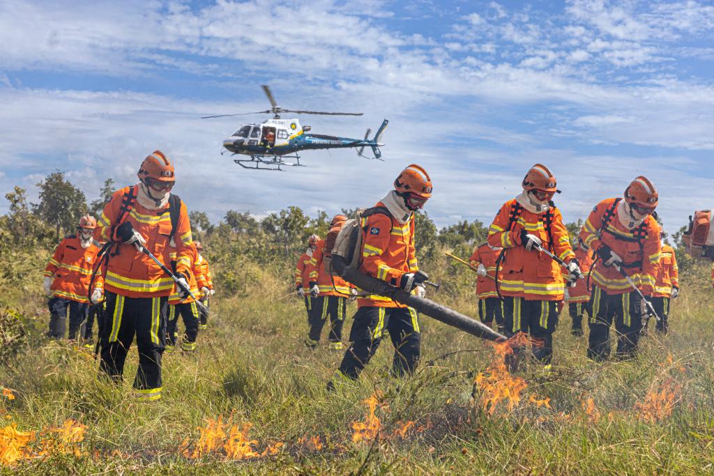 Proibição do fogo entra em vigor em Mato Grosso
