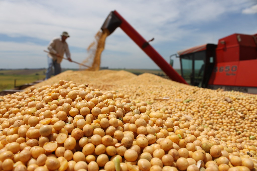 Saca de soja sobe 3,19% em Mato Grosso impulsionada pelo exterior