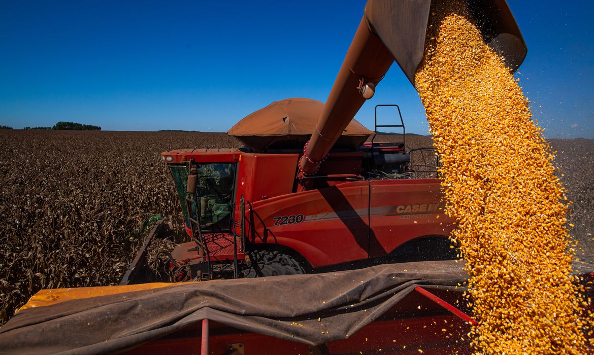 Safra agrícola de grãos deve alcançar recorde histórico no Brasil
