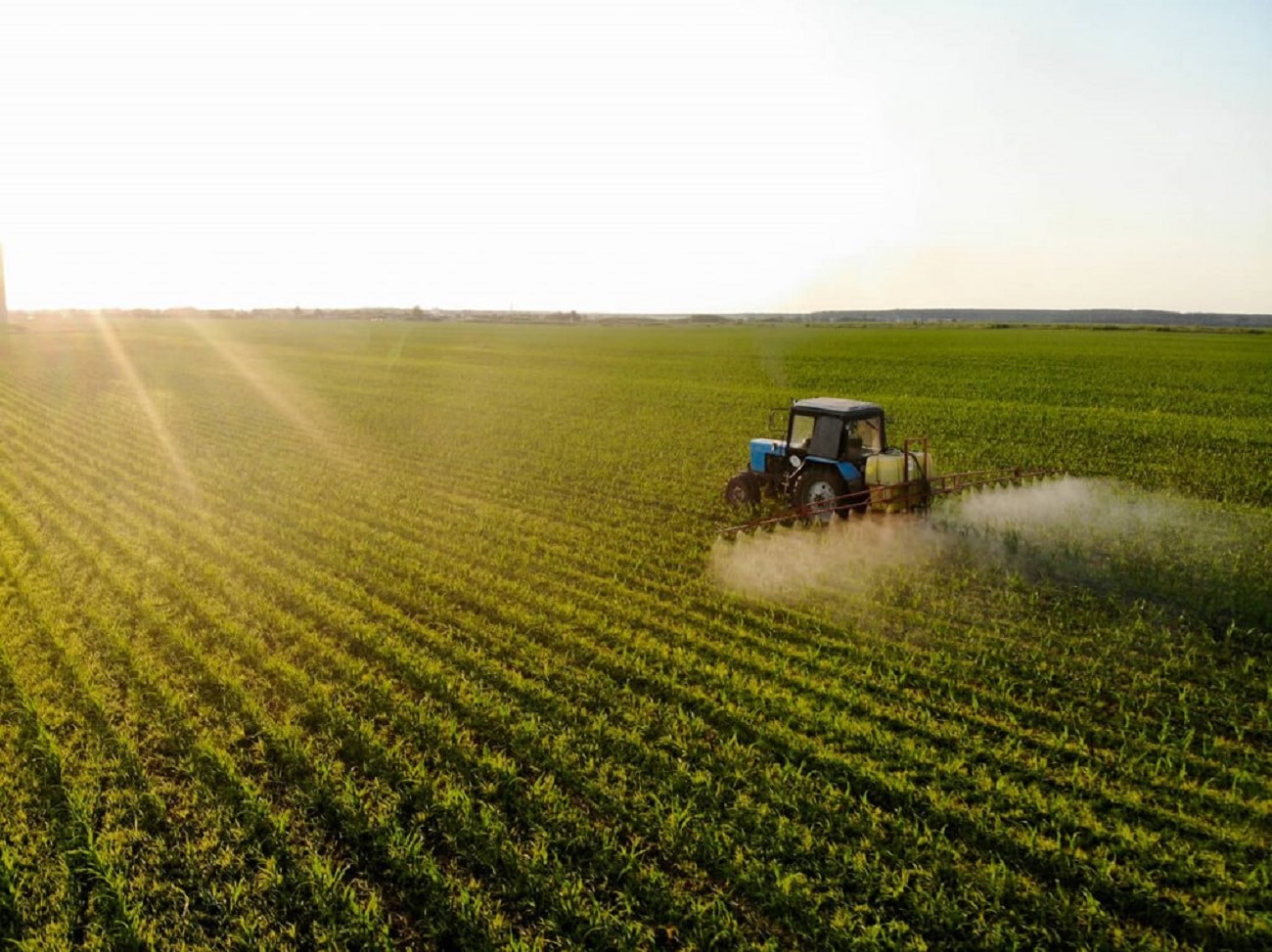Safra de Mato Grosso mira 115 milhões de toneladas de grãos