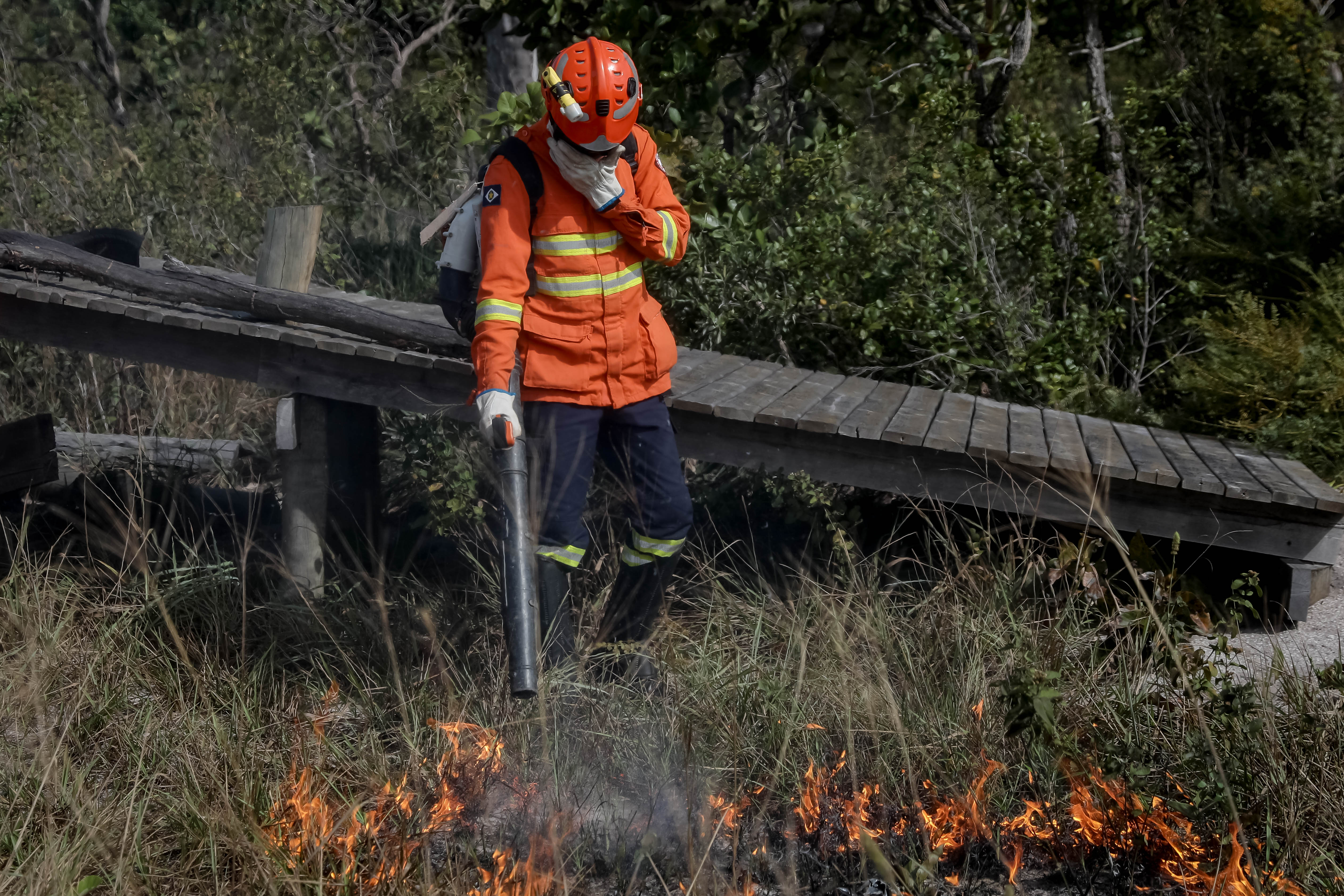 Seis incêndios florestais mobilizam equipes em municípios de MT
