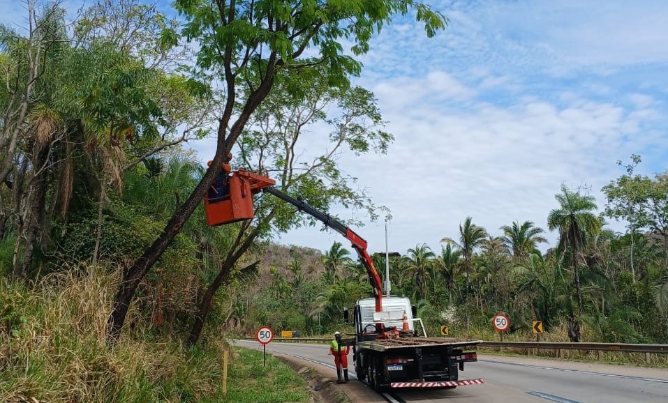 Serra de São Vicente terá interdições na BR-364 para poda