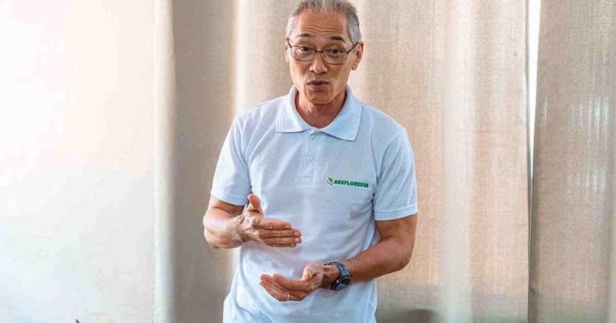 Setor florestal de Mato Grosso projeta 700 mil hectares até 2040
